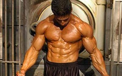 Beginner Muscle Building Essentials