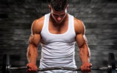 Ranking The Best Muscle Building Exercises