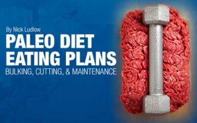 Title image reading Paleo Eating Plans with image of meat