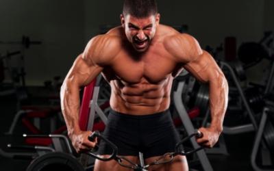 Build The Perfect Body: A Pocket Guide For Men