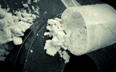 Protein Quantity, Timing, Digestion & Enhancement