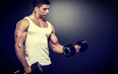 Varying Protein Sources & Muscle Building