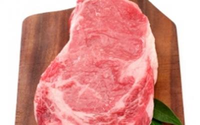 Nutrition Basics and the Importance of Protein