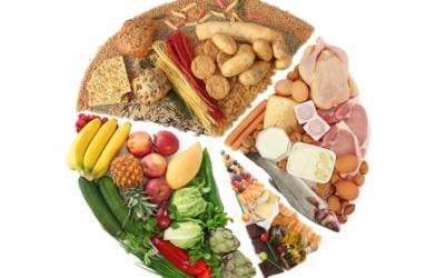 Alternative Dieting, The Reverse Pyramind