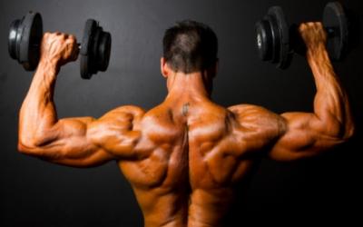 Complete Guide To Building Your Shoulders