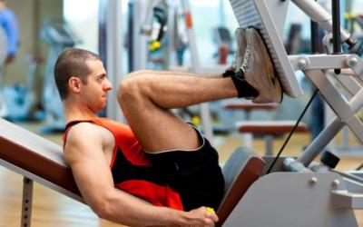 6 Squatless Leg Training Tips