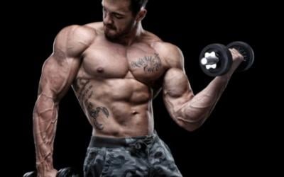 Are You Swole, Jacked Or Yoked?
