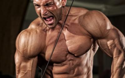 Want Big Arms? Focus On Triceps