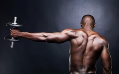 Ultimate Triceps Training: Increase Your Arm Size In 16 Weeks