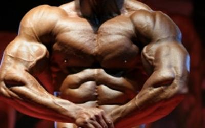 Understanding Muscular Fitness