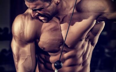 Building Muscle & Strength Without A Barbell