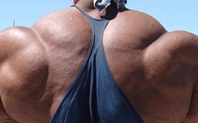 Principles For Bringing Up Weak Body Parts