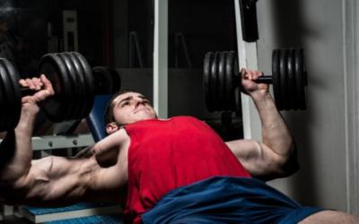 Ultimate Workout Nutrition Guide: Part 2