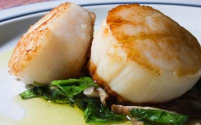 Scallop Cerviche