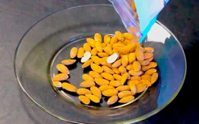 Almonds on a plate