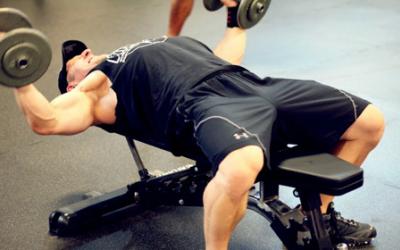 Bodybuilder doing dumbbell flys on bench