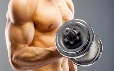 6 Week Arm Builder Workout Plan