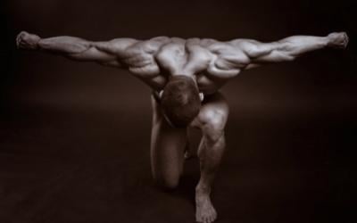 Back, Shoulders And Traps Workout