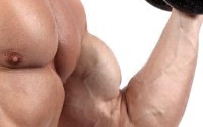 Power Muscle Burn Bicep Workout