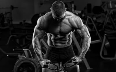 8 Week Big And Bold Workout