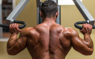 Build Shoulders Like Boulders Workout