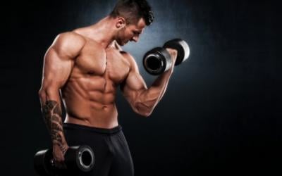 Command Your Arms To Grow 2 Day Workout