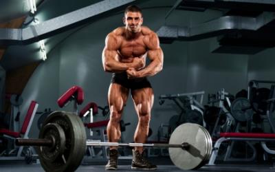 Density Training v2.0: Get Stronger And Leaner