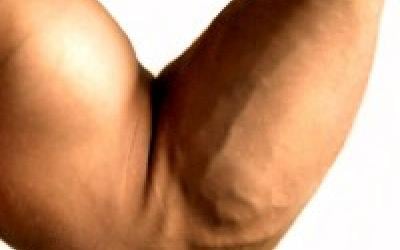Beginner Forearm Workout