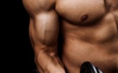 Introduction To Bodybuilding Workout