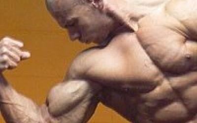 Animal Instincts - The Kurt Weidner 4 Day Split Workout