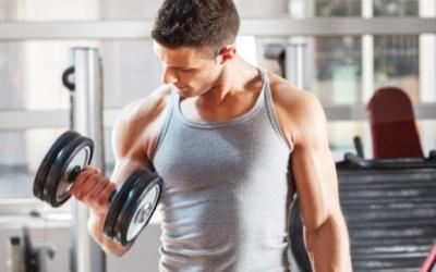 3 Day Power Muscle Burn Workout Split