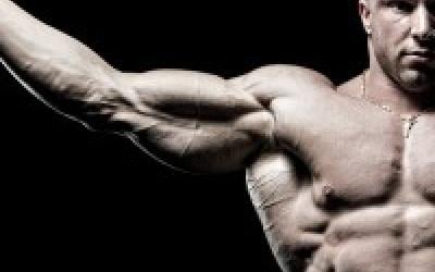 Scrutiny's 4 Day Muscle Building Split