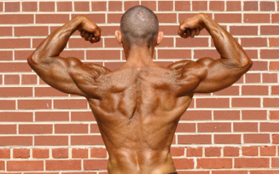 Sean Sullivan's Back Specialization Workout