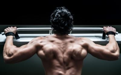 4 Day Shred Cycle Fat Loss Workout