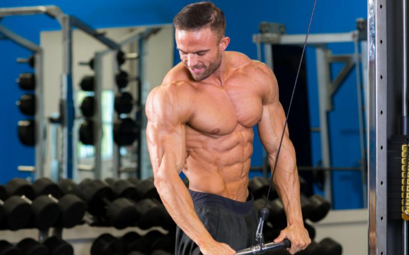 12 Week Fat Destroyer: Complete Fat Loss Workout & Diet Program