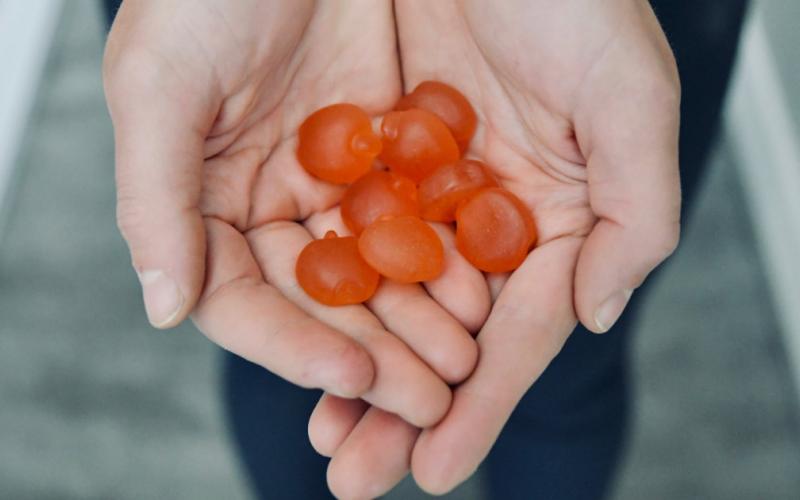 Close up of two hands holding a handful of Swolverine apple cider vinegar gummies.