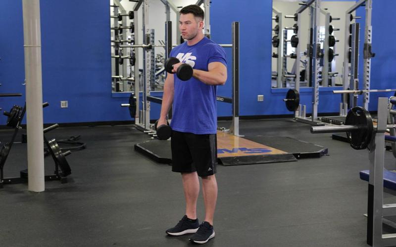 Fit man doing an alternating dumbbell reverse grip curl in the gym.