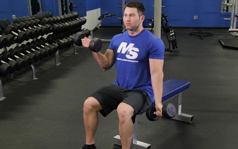 Fit man doing an alternating seated dumbbell curl in the gym.