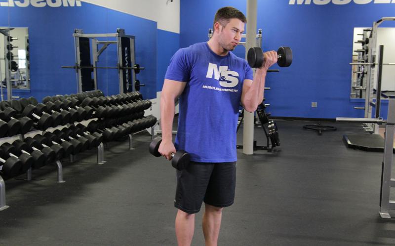Fit man doing an alternating standing dumbbell twisting curl in the gym.