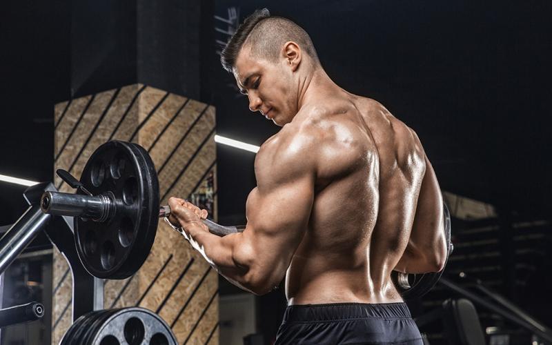Back shot of shirtless muscular man doing bicep curls