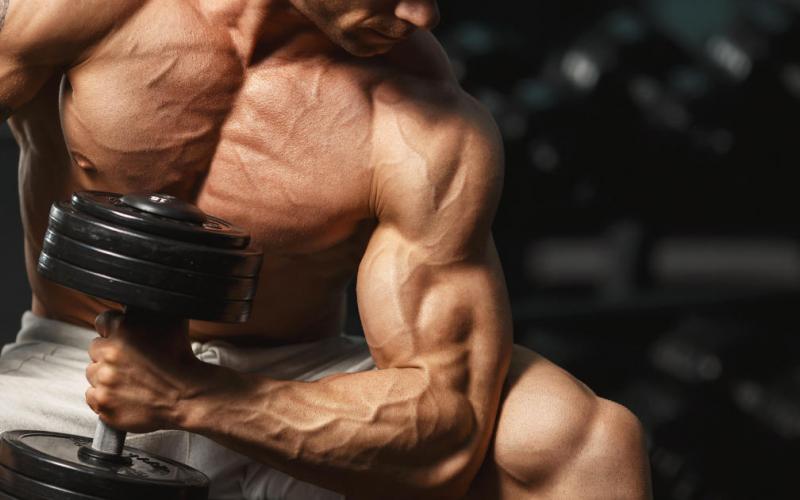 The Top 5 Exercises For Increasing Forearm Mass