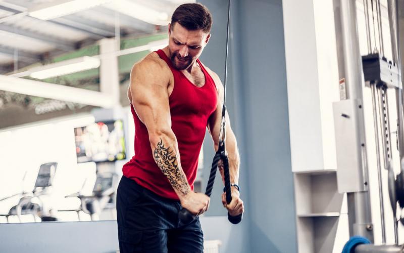 HIT3 Training: 8 Week Intense Muscle-Building Program