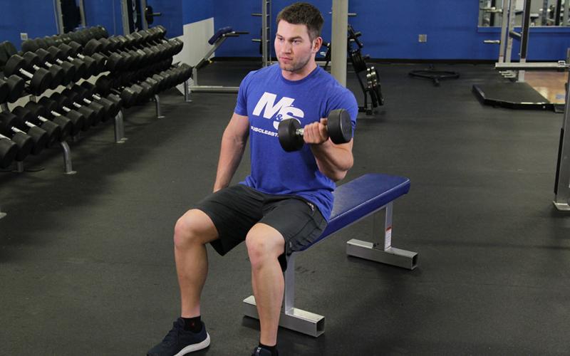 Fit man doing a one-arm seated dumbbell curl in the gym.