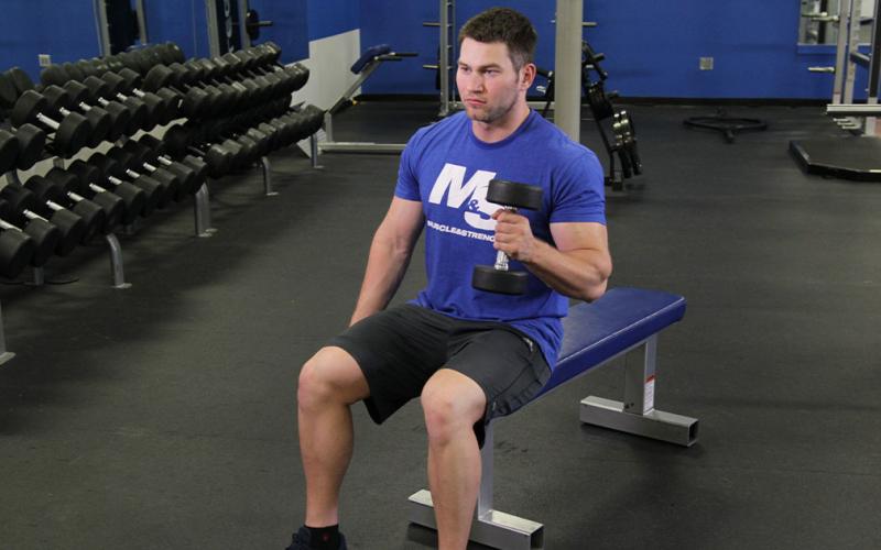 Fit man doing a one-arm seated hammer curl in the gym.