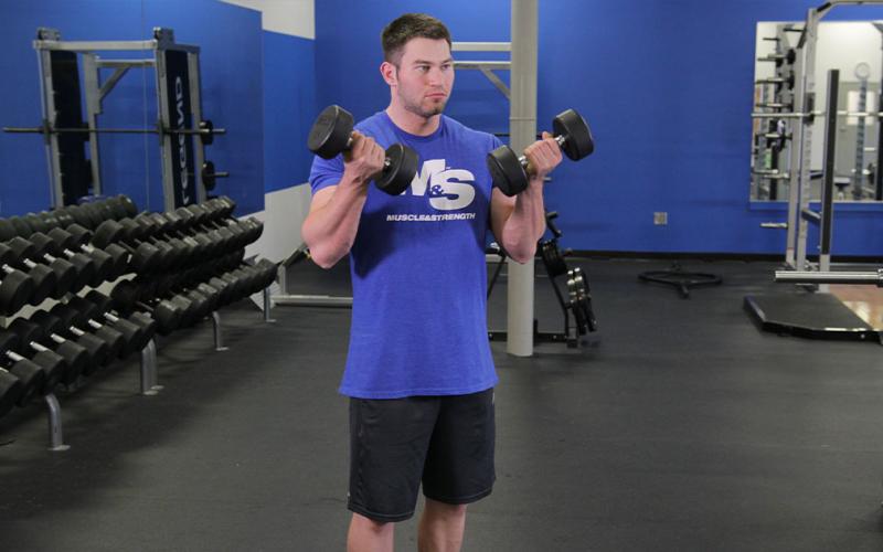Fit man doing a standing dumbbell curl in the gym.
