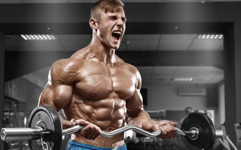 The Ripped Freak Training Program