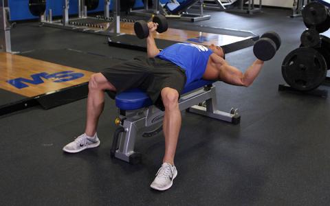 Dumbbell Flys