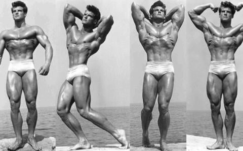 Ideal Body Measurements Calculator