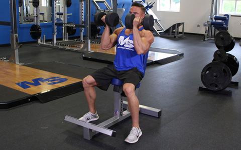 Seated Arnold Press