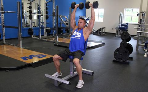 Seated Dumbbell Press